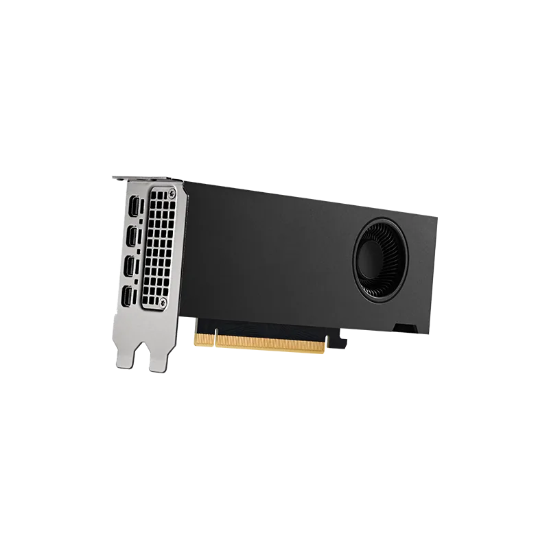 RTX A2000 显卡